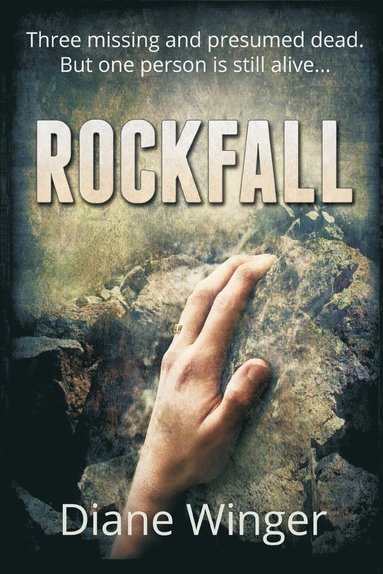 bokomslag Rockfall