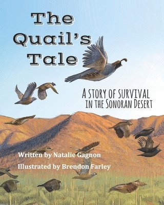 bokomslag Quail's Tale