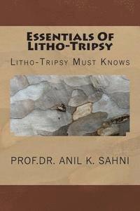 bokomslag Essentials Of Litho-Tripsy: Litho-Tripsy Must Knows