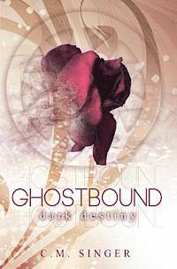 bokomslag Ghostbound 3 - US-Edition: Dark Destiny