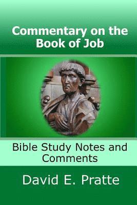 bokomslag Commentary on the Book of Job