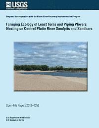 bokomslag Foraging Ecology of Least Terns and Piping Plovers Nesting on Central Platte River Sandpits and Sandbars