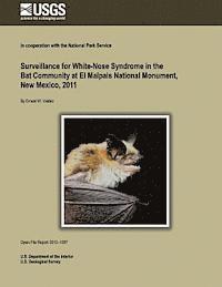 bokomslag Surveillance for White-Nose Syndrome in the Bat Community at El Malpais National Monument, New Mexico, 2011