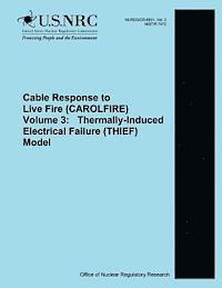 U. S. Nuclear Regulatory Commission - Cable Response to Live Fire (CAROLFIRE) Volume 3: Thermally-Induced Electrical Failure (THIEF) Model, Häftad. Tillgänglighet: Lägg i varukorg