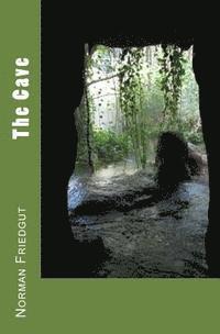 Norman Friedgut - The Cave, Häftad