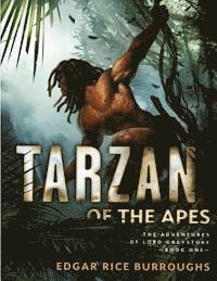 bokomslag Tarzan Of The Apes