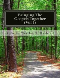 bokomslag Bringing the Gospels Together (Vol 1): Bringing the Gospels Together (Vol 1)