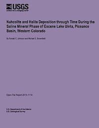 bokomslag Nahcolite and Halite Deposition through Time During the Saline Mineral Phase of Eocene Lake Uinta, Piceance Basin, Western Colorado