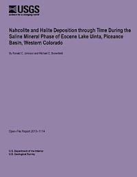 U. S. Department of the Interior - Nahcolite and Halite Deposition through Time During the Saline Mineral Phase of Eocene Lake Uinta, Piceance Basin, Western Colorado, Häftad