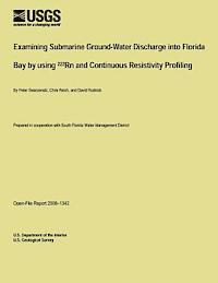 bokomslag Examining Submarine Ground-Water Discharge into Florida Bay by using 222Rn and Continuous Resistivity Profiling