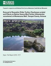 bokomslag Removal of Nonnative Slider Turtles (Teachemys scripta) and Effects on Native Sonora Mud Turtles (Kinosternon sonoriense) at Montezuma Well, Yavapai C