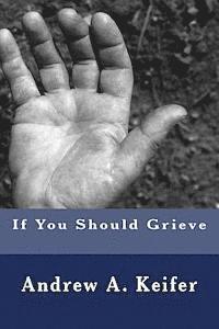 bokomslag If You Should Grieve