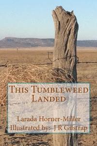 bokomslag This Tumbleweed Landed: Poetry & Prose