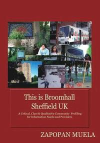 bokomslag This is Broomhall, Sheffield, UK: A Critical, Class & Qualitative Community Profiling to Analyse Community Information Needs, and Providers