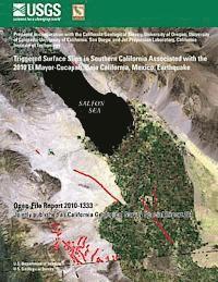 bokomslag Triggered Surface Slips in Southern California Associated with the 2010 El Mayor-Cucapah, Baja California, Mexico, Earthquake