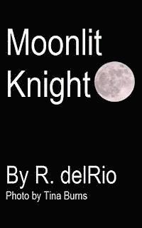 bokomslag Moonlit Knight