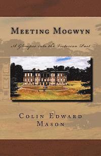 bokomslag Meeting Mogwyn: A Glimpse into the Victorian Past