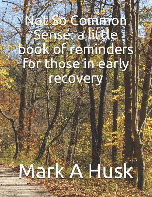 Not So Common Sense: a little book of reminders for those in early recovery 1