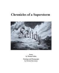 bokomslag SANDY Chronicles of a Superstorm