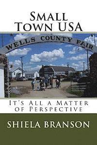 bokomslag Small Town USA: It's All a Matter of Perspective