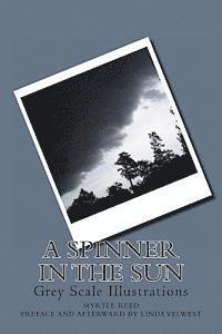 Linda Velwest - A Spinner in the Sun: Grey Scale Illustrations, Häftad