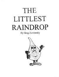 bokomslag The Littlest Raindrop: a young children's book