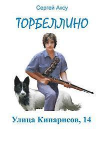 bokomslag Ulitsa Kiparisov, 14