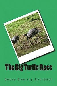 bokomslag The Big Turtle Race