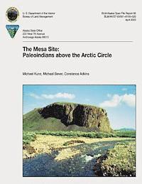 bokomslag The Mesa Site: Paleoindians Above the Arctic Circle