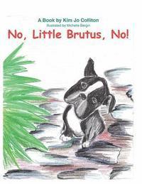 No Little Brutus No 1