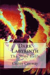 bokomslag Dark Labyrinth