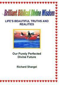 bokomslag Brilliant Biblical Divine Wisdom