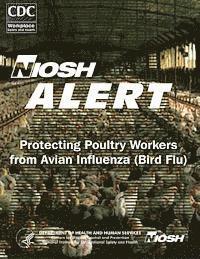 bokomslag Protecting Poultry Workers From Avian Influenza (Bird Flu)