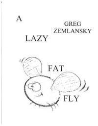 bokomslag A Lazy Fat fly