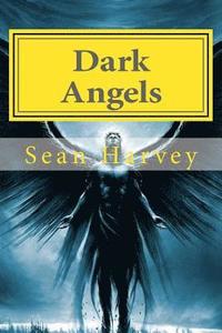 bokomslag Dark Angels