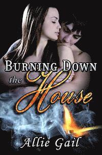 Allie Gail - Burning Down the House, Häftad