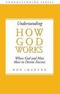 bokomslag Understanding How God Works: Where God and Men Meet in Divine Decrees