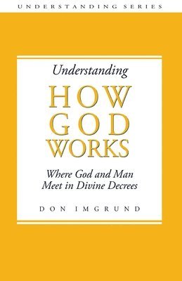 bokomslag Understanding How God Works: Where God and Men Meet in Divine Decrees