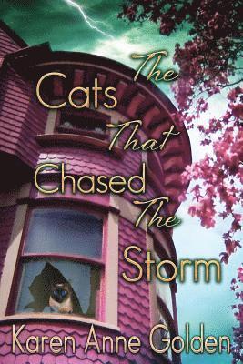 The Cats that Chased the Storm 1