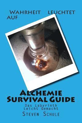 bokomslag Alchemie Survival Guide: Das Labyrinth Leicht Gemacht