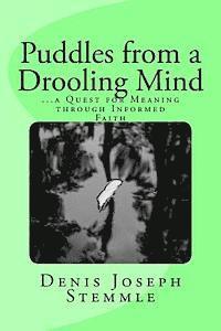 bokomslag Puddles from a Drooling Mind: ...a Quest for Meaning through an Informed Faith