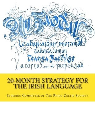 Steering Committee of the Philo-Celtic S - 20-Month Strategy for the Irish Language, Häftad