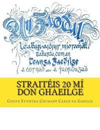 bokomslag Straitéis 20 Mí don Ghaeilge