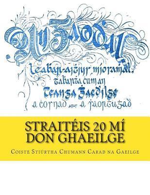 bokomslag Straitéis 20 Mí don Ghaeilge