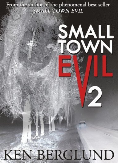 bokomslag Small Town Evil 2