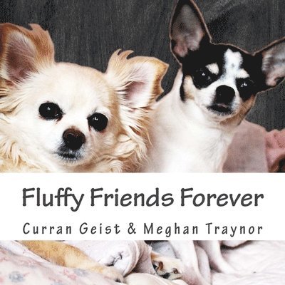 Fluffy Friends Forever 1