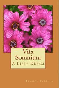 bokomslag Vita Somnium