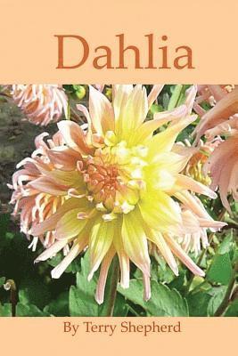 Dahlia 1