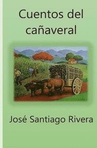 bokomslag Cuentos del Cañaveral