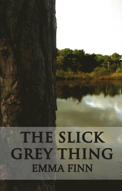 The Slick Grey Thing 1